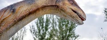 Han encontrado en Teruel los restos de un dinosaurio. Lo extraordinario es que hasta ahora solo se había visto en EEUU