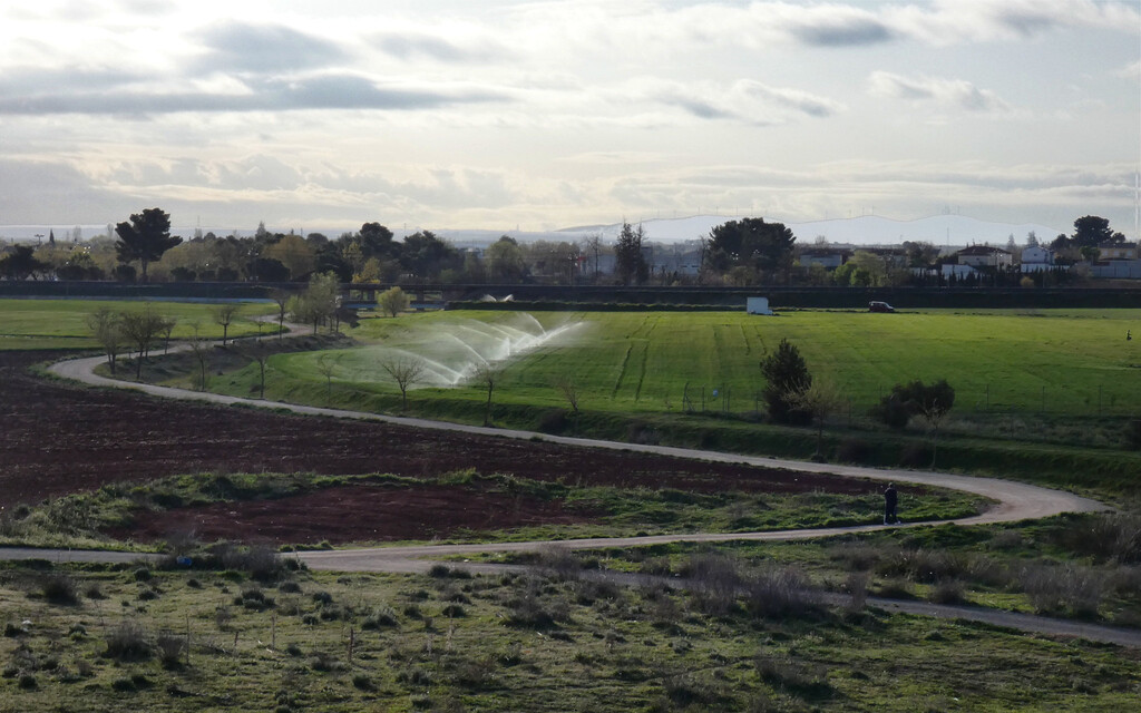 El gran problema de la agricultura en España es el que nadie quiere abordar: cada vez llueve menos y cada vez queremos plantar más 