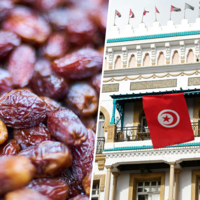 El dátil mundial está a punto de venirse abajo. Y, por inverosímil que parezca, lo más parecido a una solución es Trump