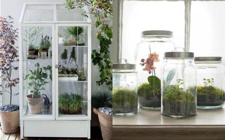 Rápidas y fáciles ideas para crear rincones con plantas y flores