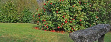 Es uno de los jardines botánicos más importantes de España, según la UNESCO, y está escondido en un pazo gallego