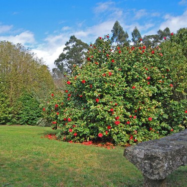 Oculto en un pazo y de estilo inglés, Pontevedra tiene uno de los mejores jardines de España que solo podrás visitar este año 