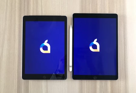 iPad 2018 と iPad Pro