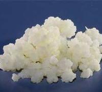 El kéfir, saludable para prevenir algunas alergias en los bebés