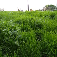 Foto 10 de 22 de la galería xiaomi-mi-max-camara-1 en Xataka Android