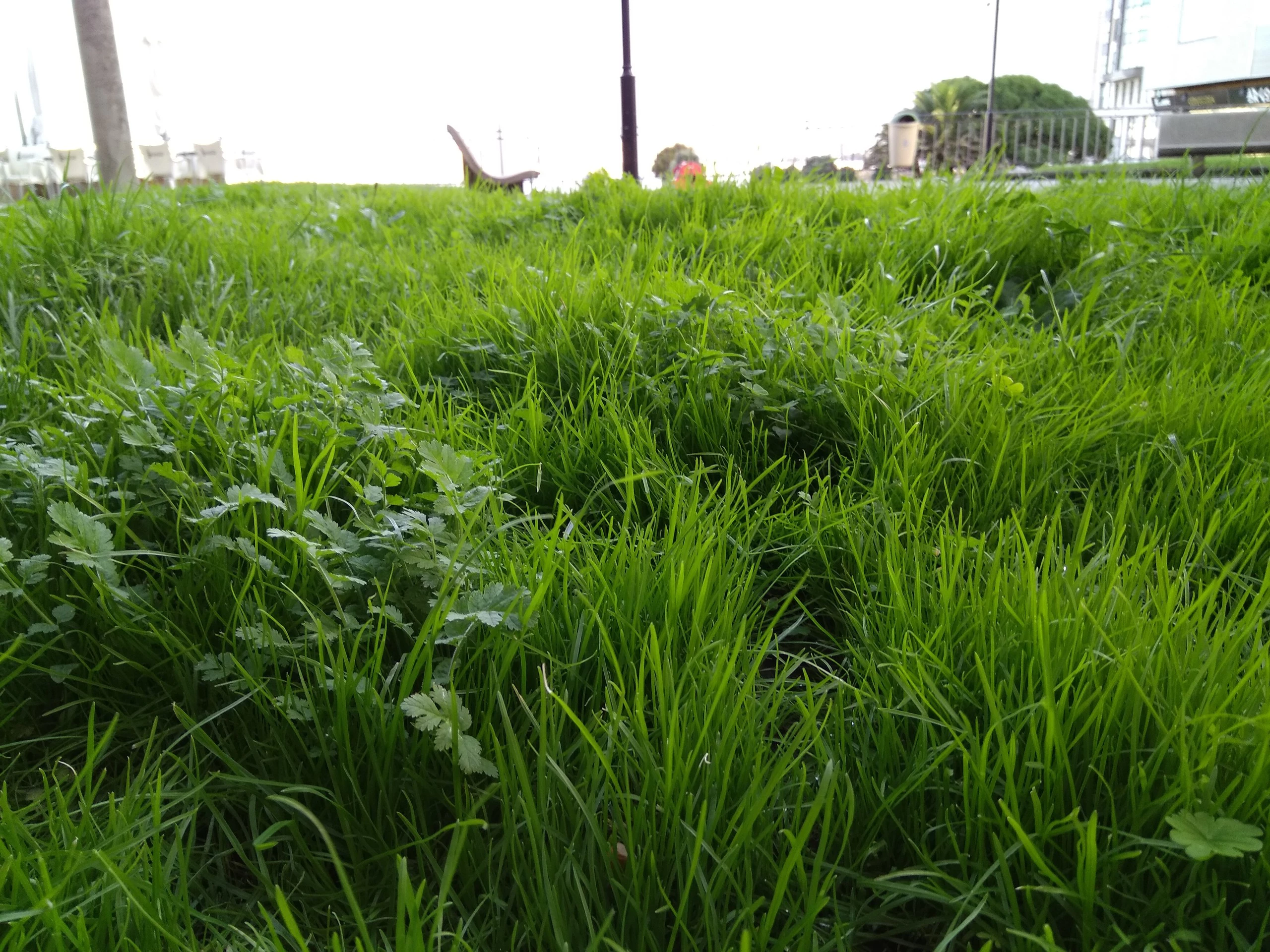 Foto de Xiaomi Mi Max, cámara (10/22)