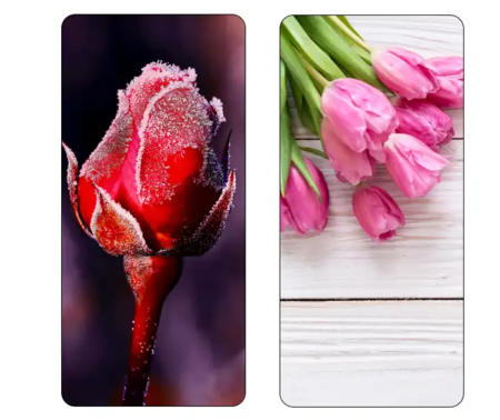 Screenshot 2025 11 27 195502