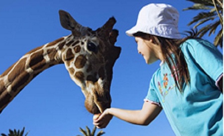 Vuelve el 20% de descuento en Rio Safari