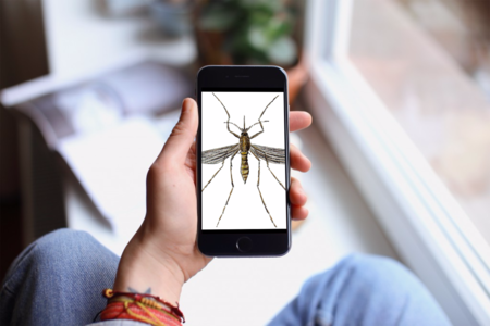 Tu móvil no evitará que este verano te piquen los mosquitos