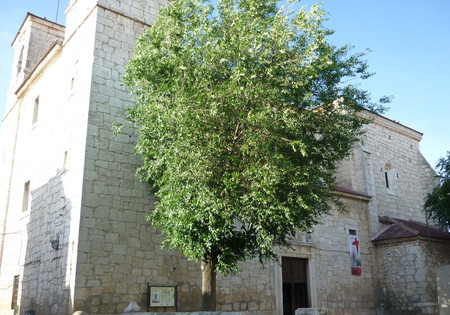 Iglesia de San Nicolás de Bari en Villaconejos
