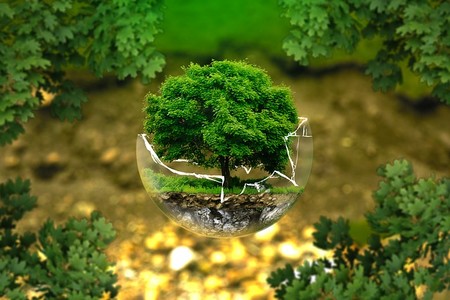 Cuidar el medioambiente también es responsabilidad de las empresas