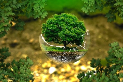 Cuidar el medioambiente también es responsabilidad de las empresas