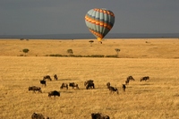 Kenia: Safaris para todos los gustos