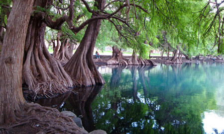 Lago de Camécuaro, un paraíso escondido en Michoacán con agua cristalina, ahuehuetes y albercas con aguas termales