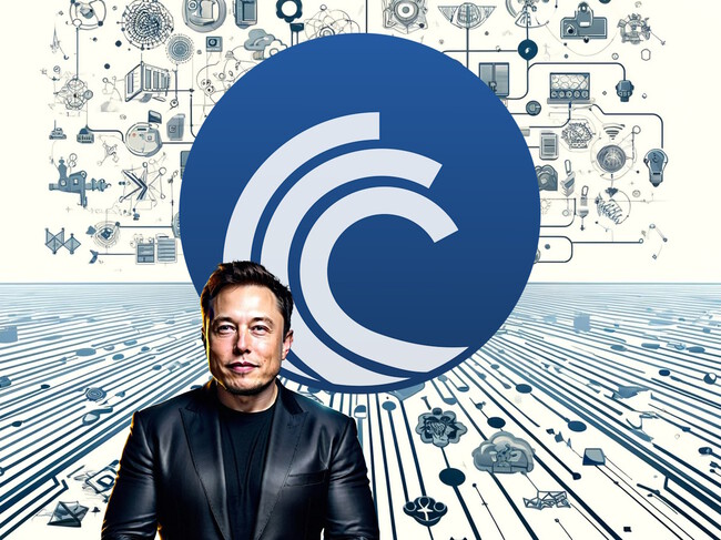 Musk ia