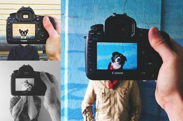 Si vas a hacerle fotos a tu mascota, al menos que sean originales 