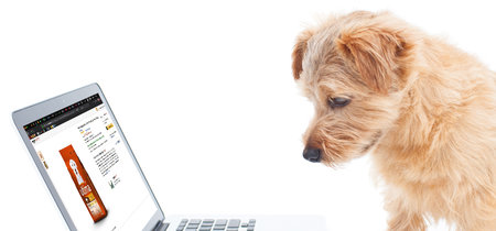 Amazon permite crear perfiles de mascotas, pero la comida la tendrás que seguir comprando tú 