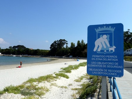 Playa Para Perros Del Concello De Ares A Coruna 768x576