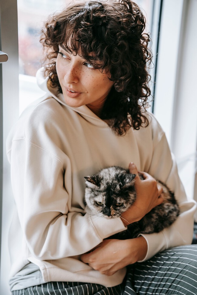 Pexels Sam Lion 6001435