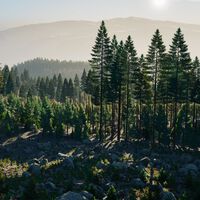 Creó un juego que batió varios récords Guinness y está entre lo más popular de Steam, pero el padre de PUBG no se libra de la crisis de los videojuegos 