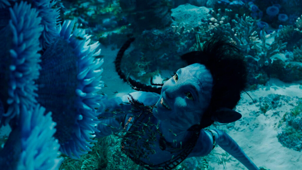 Avatar 2 es grande en todos los sentidos: el número de versiones para los cines de todo el mundo roza lo absurdo Avatar 2 es grande en todos los sentidos: el número de versiones para los cines de todo el mundo roza lo absurdo