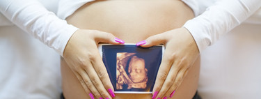 Se anula la ley que regula la maternidad subrogada en Portugal