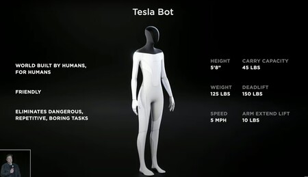 Tesla Bot