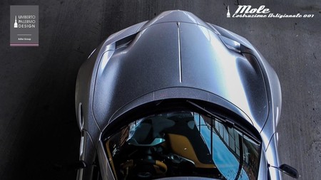 Mole Costruzione Artigianale 008