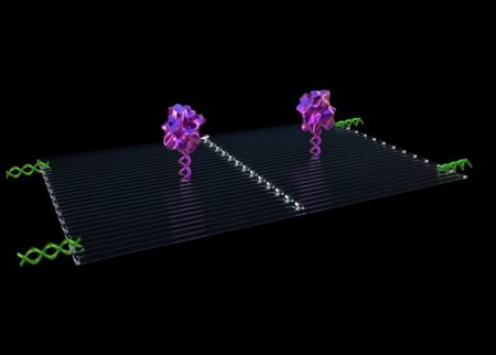 Se localizan y destruyen tumores en solo 48 horas gracias a este nanobot