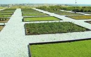 Ahorro de agua con plantaciones adecuadas al clima