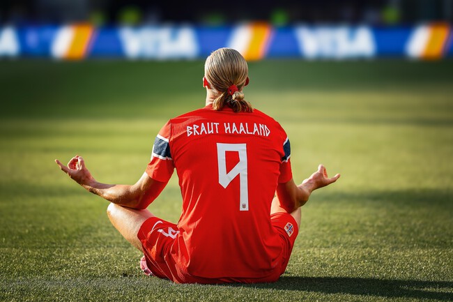 Erling 1781656378 3921140041652224141 3015546221