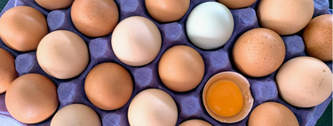 Estás pagando huevos camperos sin gallinas al aire libre: la denuncia de la OCU por unos huevos que no valen lo que cuestan 