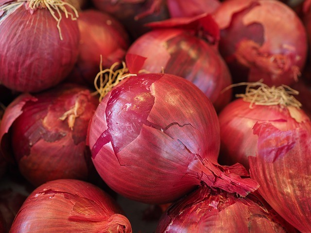 Cebolla Roja