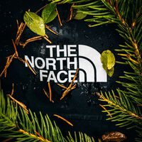 Esta chaqueta The North Face es la mejor compra de las rebajas finales porque cuesta poquísimo y cabe en el bolsillo 