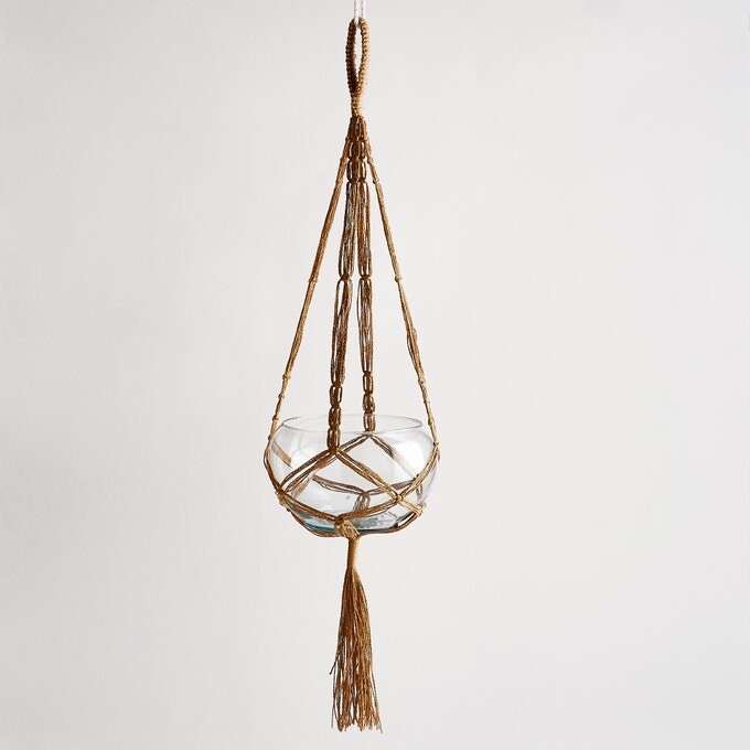 Pon a punto tu terraza o balcón con estas 7 plantas para dar color al otoño