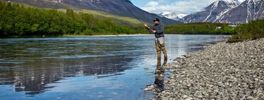 Harvard recomienda utilizar estos pescados y mariscos típicos de España por su valor nutricional y cuidado del planeta