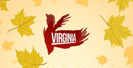 Análisis de Virginia: cuando Twin Peaks se cruzó (mal) con Gone Home