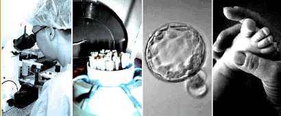 Eminencias de la fertilidad humana se reúnen en Montreal
