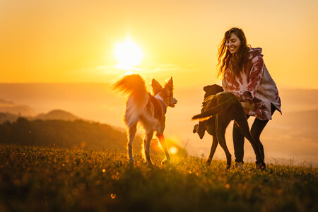Dogsandpeople