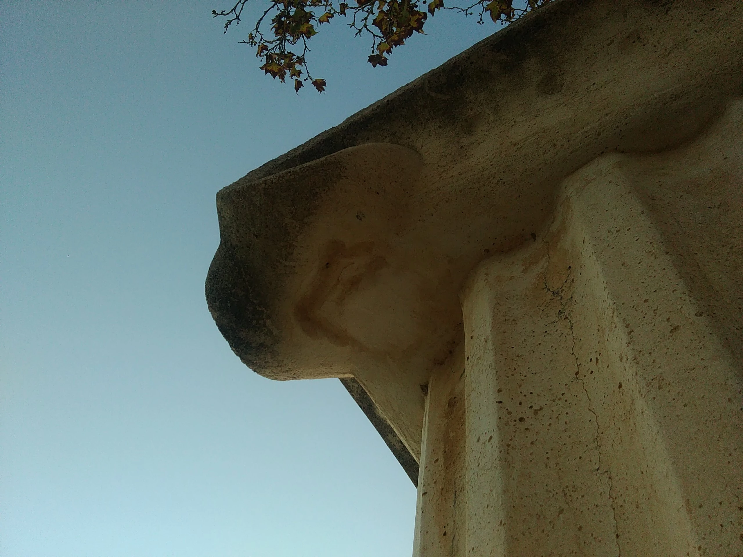 Fotos del BLU Win JR