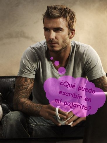 David Beckham se quiere tatuar el pajarito ¡Detenedlo!