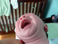 Qué supone tener un bebé de alta demanda‏