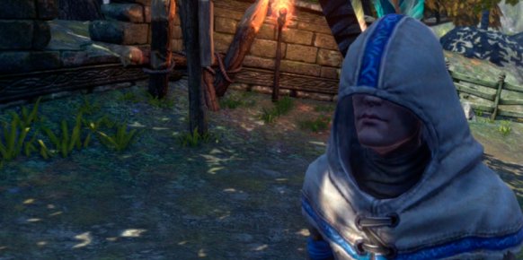 Fable Anniversary contará próximamente con un parche para corregir sus problemas de estabilidad