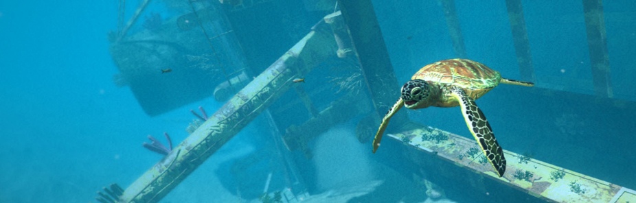 World of Diving: Tesoros, fotos y desafíos submarinos