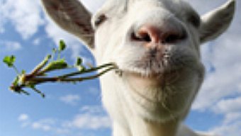 Paradox Interactive quiere "más Goat Simulator y menos Call of Duty" para desmarcarse de la competencia