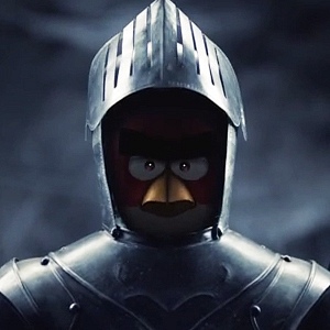 Pájaros locos y aventureros