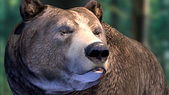 El creador de Bear Simulator abandonará el juego tras la próxima actualización