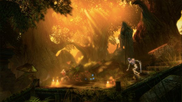 Trine: Enchanted Edition, remake del título original, también llegará a PS4 y Wii U