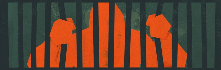 Imagen de Enter the Gungeon