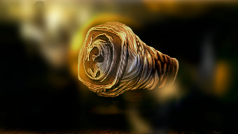 Dark Souls anuncia esta réplica en plata del anillo de dragón dormido por 155 euros